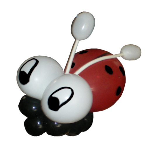 Balloon Lady Bird